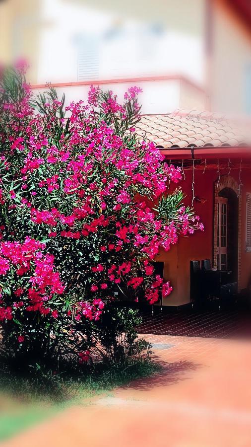 Country-House Pecora Nera Hostal Mosciano SantʼAngelo Exterior foto