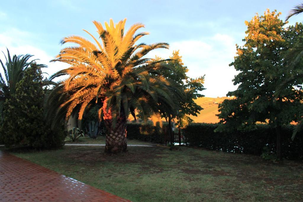 Country-House Pecora Nera Hostal Mosciano SantʼAngelo Exterior foto